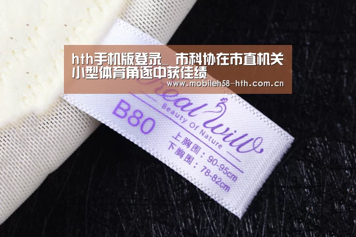 hth手机版登录_
市科协在市直机关小型体育角逐中获佳绩(图1) hth网页版