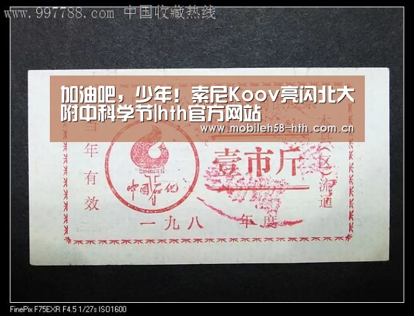 加油吧,少年!索尼Koov亮闪北大附中科学节|hth官方网站(图2) hth平台