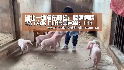 湖北一地发布新规:隐瞒病情等行为将上征信黑名单:hth(图2) 湖北一地发布新规:隐瞒病情等行为将上征信黑名单:hth(图2)