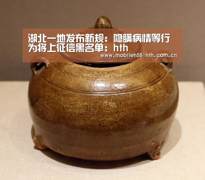 湖北一地发布新规:隐瞒病情等行为将上征信黑名单:hth(图3) hth官方网站
